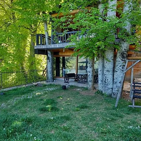 Luxury Challet In Uludag